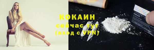 дживик Арсеньев