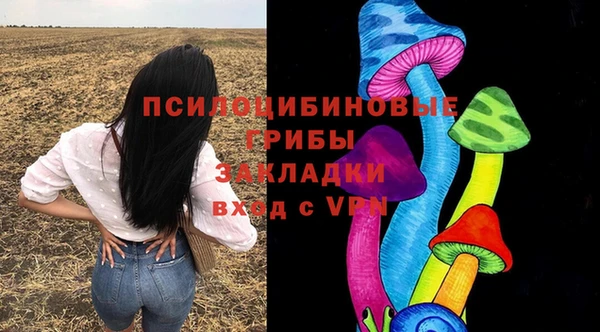 тгк Армянск