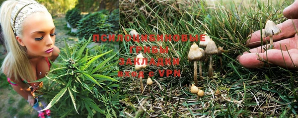 гашиш Переславль-Залесский